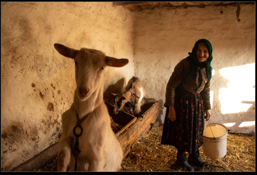 Photo by Uliana Storoshchuk